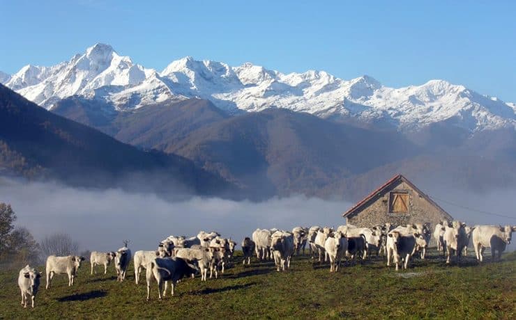 occitanië