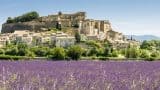 Lavendel Grignan, Drôme Provençale